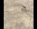 Дорога во двор разбита и ямы завалены кирпичами. Когда работает фирма «Континент» и шахматный клуб, во двор не заехать. Ни одна из этих организаций не занимается стоянкой для своих гостей.
