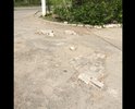 Дорога во двор разбита и ямы завалены кирпичами. Когда работает фирма «Континент» и шахматный клуб, во двор не заехать. Ни одна из этих организаций не занимается стоянкой для своих гостей.