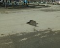 Почему-то до сих пор не отметили участок улицы, которая идет через сам поселок Новосиликатный. Здесь ужасные ямы, а транспортный поток огромный.
