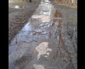 Центр города. Рядом городская администрация, Музей Хрусталя. Пешеходы ходят по грязи.