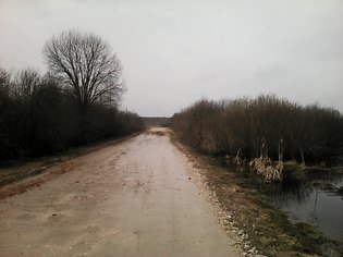 None, деревня Аксениха