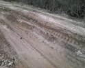 Полное разрушение дорожного полотна, а по этой дороге ездит школьный автобус.