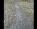 Пешеходная дорожка почти разрушена.