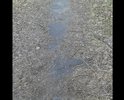 Пешеходная дорожка почти разрушена.
