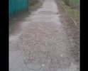 Пешеходная дорога не пригодна для пешего хода. Ямы, грязь. После дождя можно пройти только в резиновых сапогах. Рядом школа.