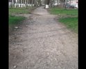 Пешеходная дорога заросла травой. Асфальт изчез под землей.