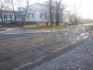 None, Лиманная улица