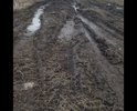 С 2014г. мы пытаемся добиться от администрации МО "город Алапаевск" произвести разметку дороги и отсыпку ее щебнем. И каждый раз мы получаем ответ, что Администрацией МО "Алапаевск" готовится кадастровый паспорт автодороги и как только он будет готов, то будет произведены работы по ремонту автодороги. Однако за прошедшие годы администрация города никаких действий не предпринимает. Все полученные ответы формальны, не содержат каких либо сроков выполнения работ, не имеют однозначного толкования и являются "отписками". Текущее состояние дороги не только делает невозможным проезд жителей к своим домам, но не позволит добраться экстренным службам (МЧС и скорой помощи), а от этого зависят ЖИЗНИ людей.