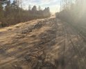 Дорога с каждым годом всё в более ужасном состоянии: на дороге оползни, плывуны, ямы. Пыль от впереди идущей машины закрывает обзор полностью. Каждый год дорогу подсыпают гравием, но это делает её чуть более сносной на неделю-две. Это единственная дорога к огромным садоводческим массивам, в которым живут и отдыхают тысячи граждан. Учитывая, что электрички до ж/д станции Апраксин сокращены до минимума, никакого иного транспорта до садоводств не ходит, автомобильная дорога - единственно возможный путь, который скоро станет совсем недоступным.