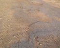Центральная улица посёлка Ясная Поляна названа именем А.А. Попова, ныне здравствующего ветерана Великой Отечественной войны, сорок лет руководившего здешним колхозом "Красный Октябрь". Асфальтовое покрытие улицы не ремонтировалось 30 лет. Народ чем может, засыпает ямы, спасает от окончательного разрушения.