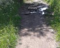 Ужасная дорога, после дождей прости невозможно. По краям - болото, а это почти центр города, вокзал!