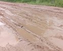Многочисленные устные и письменные просьбы в разные года не приносили никакого результата по улучшению данного участка дороги. В настоящее время есть предписание прокуратуры г. Гусь-Хрустальный и есть решение суда обязывающее администрацию привести данный участок дороги к состоянию соответствующему ГОСТу, но вместо нормального ремонта, которого не было как минимум 50 лет на данном участке, ответственные лица привозят туда грязь с соседней улицы чтобы подсыпать ямки. Надеюсь ОНФ посодействует скорейшему решению нашей проблемы, исполнению решения суда и законов РФ.