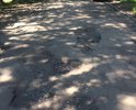 Этот участок дороги от ул. Ленина до роддома никогда не видел ремонта или власти не видят его или просто закрывают глаза.