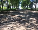 Этот участок дороги от ул. Ленина до роддома никогда не видел ремонта или власти не видят его или просто закрывают глаза.