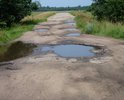 Дорога на д.Медведки из г.Демидов в ужасном состоянии , не ремонтировалась около 5 лет.
