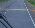 Дорога после съезда с нового Приозерского шоссе в сторону железнодорожной станции Грузино из-за увеличения потока машин превратилась в решето. Помогите!!