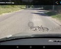Автодорога по ул. Салмановке, от моста до ул. Заречной- вся в ямах!