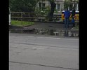 После работ по замене бордюра и ремонта дорожного полотна в этом месте сделан неправильный уклон.После каждого дождя пешеходный переход затапливается.Проблему усугубили установкой металлических перилл-их не обойдешь в месте "помельче".Дважды обращался в администрацию города -они отказываются делать дренаж или хотя бы мостки положить.
Здесь же ,на другой стороне, остановка туристических автобусов с которых иностранцы наблюдают за этим позорищем.