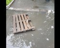 После работ по замене бордюра и ремонта дорожного полотна в этом месте сделан неправильный уклон.После каждого дождя пешеходный переход затапливается.Проблему усугубили установкой металлических перилл-их не обойдешь в месте "помельче".Дважды обращался в администрацию города -они отказываются делать дренаж или хотя бы мостки положить.
Здесь же ,на другой стороне, остановка туристических автобусов с которых иностранцы наблюдают за этим позорищем.