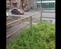 После работ по замене бордюра и ремонта дорожного полотна в этом месте сделан неправильный уклон.После каждого дождя пешеходный переход затапливается.Проблему усугубили установкой металлических перилл-их не обойдешь в месте "помельче".Дважды обращался в администрацию города -они отказываются делать дренаж или хотя бы мостки положить.
Здесь же ,на другой стороне, остановка туристических автобусов с которых иностранцы наблюдают за этим позорищем.