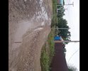 Даже после небольшого дождя стоят лужи, покрытие (гравийное)разбивается, за последние два года ни разу не грейдеровали полотно (погрузчик нанимаем за личные средства, чтоб как-то поддержать состояние),  кюветы не чистятся (заиленные, заросшие травой), трава вдоль дороги не косится.