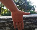 Улица Некрасова напротив домов 16, 17.
Т.к. дорога является объездной единственной, по которой можно проехать на грузовом транспорте через город со стороны Рязани в промышленную зону на Эстакаде, кучи фур с утра до вечера громыхают на многочисленных ямах и разбивают дорогу с каждым днём всё больше. Пытаясь их объехать водители ездят по обочинам, разбивая и их. Некоторые ямы глубиной более 15-ти см. И таких по всей улице от начала и до конца десятки. Какие-то расположены рядом так, что их невозможно объехать и приходится умышленно заезжать в них.