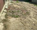Дорога по улице Терешкова очень нуждается в ремонте.Это проход между Терешковой и кузнечной .Водоканал,при ремонтных работах, разрушил все покрытие и оставил .По этой дороге,очень сложно ходить,особенно людям пожилого возраста ,в непогоду там вообще сложно.И это центр