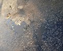 Дорогу и прилегающие дома сдали 3 года. Дорога уже разбита. После дождей пройти негде.