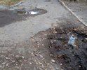 Придомовая дорога разбита, скорые подъехать к подъезду не могут. Дорога не включена в программу "Городская среда" (по мнению жителей).