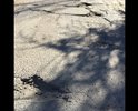 Необходим ремонт асфальтного покрытия дороги