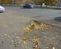 Асфальта не хватило и яма осталась.