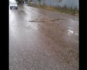 Дорога в ужасном состоянии. По этой дороге каждый день ходят дети в школу и родители с детьми с детские сады. Для пешеходов нет дорожки , а сама дорога состоит из ям.