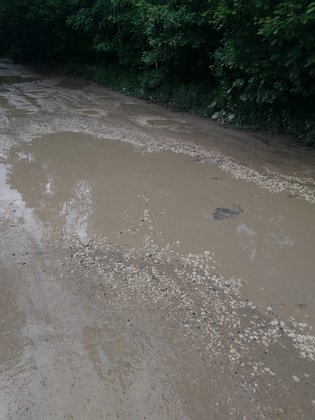 None, деревня Новая Слобода, 51с1