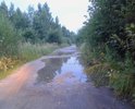 Данная дорога является единственным автоподъездом к населенному пункту. В д. Гущино проживает много жителей. Асфальтная дорога находится в аварийном состоянии, имеет большую ямочность, проехать очень проблематично, капитальный ремонт не проводился десятки лети. Все это влияет на благосостояние наших жителей. Вопроса о ремонте данной дороги очень актуален. Жители просят решить данную проблему.