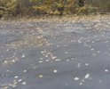 Дорога не соответствует ГОСТ. Сплошные ямы которые засыпают щебнем (это видимо у них своя нормативная документация по ремонту).