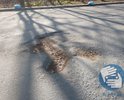 На улице Вилкова две не очень глубокие ямы, мешающие спокойному движению автомобилей