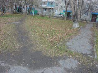 None, улица Академика Павлова, 81