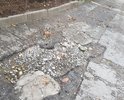 На подъездах к жилым многоквартирным домам по ул. Ореховая глубокие трещины, ямы и выбоины в асфальте (глубиной 10 см!!); асфальт крошится и размывается, покрытие деформируется; в выбоинах скапливается вода.