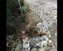 Дорожное полотно (пгт Гаспра, ул. Лесная) практически отсутствует, а состояние того, что осталось, стремительно ухудшается. "Сознательные" граждане регулярно подсыпают дорогу строительным мусором. Обещанный городской администрацией ремонт в 2018 г. не состоялся. На сегодняшний день администрация затрудняется назвать новые сроки ремонта.