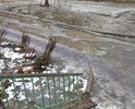 Героев Сталинграда, 17. Дворовая дорога в ужасном состоянии, как после бомбежки.
