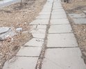 Убитая пешеходная дорожка из плит времен СССР, которые в одном из двух состояний - или лопнули или их перекосило.