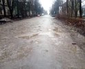 Дорогу не делали более 15 лет. Для обеспечения работы автосервиса "АПЕКС" (являюсь собственником), вынуждены отсыпать щебнем ежегодно за свой счёт.