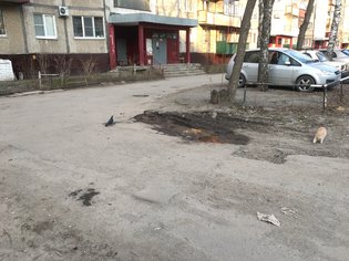 None, Московская улица, 49