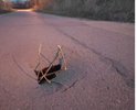 На улице Набережно-Бугровая «устал» асфальт. В месте, где проходит ливневая труба провалился асфальт. Возможно, грунт просел со временем, но это вопрос к дорожной службе и их ответственности за выполнение работы. Асфальтированная дорога на этой улице появилась после двух паводков 2012-2013 годов. Послужил он не так много времени, с учётом, что поток машин там минимальный, ездят только местные жители.
Водители, будьте внимательны по пути на Набережно-Бугровой, а к ответственным службам просьба исправить дорожный недочёт,пока он не стал причиной ДТП и поломки автомобиля.