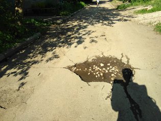 None, Северодонецкая улица