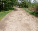 Грунтовая дорога, давно не ремонтировалась. Поддерживается силами жителей ближайших домов.