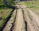 Сейчас выкладываю фотографии, когда дорога уже подсохла. Но ни весной, ни осенью по ней не проехать вообще! Дорога не грейдеруется, не чистится, не отсыпается. В зимний период также дорога не прочищается от снега, хотя деревня считается жилой и в ней есть постоянно прописанные и проживающие жители, в т.ч. с маленькими детьми!