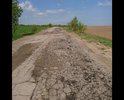 шесть километров от трассы вглубь (от начала деревни Каменка и до деревни Руднево), где живут старики, огромные машины, фуры и трактора обслуживающие частные предприятия по выращиванию овощей разбили всю дорогу и проезд Скорой помощи и пожарной машины  затруднен. Просьба наказать виновных и за их счет отремонтировать и так "убитую" дорогу.