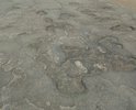 Новгородская область Валдайский район направления на Демянск просто убитая частями дорога