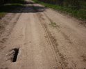 Дорога межмуниципального значения, 28 ОП МЗ 28Н-1448, 3 класс, Трофимково - Козловцы – Дрыгомо, в т.ч.  («Трофимково-Козловцы» - 3,3 км – асфальтовое покрытие, «Козловцы - Дрыгома» - 8 км – гравийный участок дороги).

Участок дороги: "дер. Дрыгома - дер. Выставка"

======================================
Не забывайте и не жадничайте поддерживать наши селижаровские дороги,

в частности,

https://dorogi-onf.ru/problem/55397/.

Больше голосов за районные проблемные участки - больше вероятность ремонта районных дорог!

============================
Состояние: 
1. Лопнули две мостовые трубы с образованием проломов. 
2. Гравийная дорога в своём продолжении имеет колеи, выбоины, волны, пластические дефекты (сдвиги, наплывы, гребенка).

=========================
Описание: После выезда из деревни Козловцы в сторону Дрыгомы – асфальт заканчивается и начинается грунтовая дорога. Гористая и интересная. Одно удовольствие на велике катиться от телецентра с горушки… Но ездить может только тот, кто знает дороги. Три холма и вот у поворота на дер. Горицы одна из самых важных и древних достопримечательностей в окрестных местах – необычайно глубокая, наглая и самодовольная лужа, непересыхающая даже в засуху к зависти протекающего рядом с дорогой ручья. Скорее всего, она прописалась там после разрыва снаряда в какую-то давнюю войну – кто ж теперь знает, да и она сама, наверное, не помнит… Затем, по ходу движения, после поворота на Горицы и Пронино, начала бывшей деревни Выставки идут колеи, в солнечную погоду мирно дремлющие в тени деревьев, но в дождь злобно прячущие свои истинные зловещие планы и мечты под лужами, обнажая свою вязкую, гадкую суть и зловредные планы лишь тогда, когда представится возможность заключить в свои крепкие и нежные объятия  очередное самоуверенное и неопытное колесо.